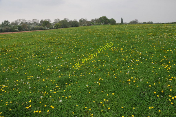 Photo 6"x4" Farmland at Radford Abbots Morton c2011