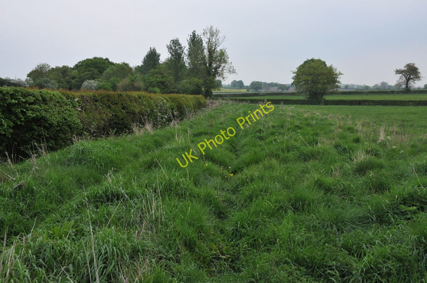 Photo 6"x4" Bridleway at Dormston Dormston c2011