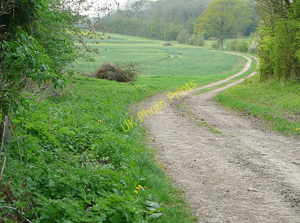 Photo 6"x4" Footpath to Ramsdell Monk Sherborne c2011