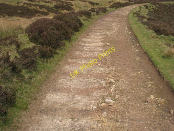 Photo 6"x4" The Rosedale Railway at Middle Head Cockayne c2011