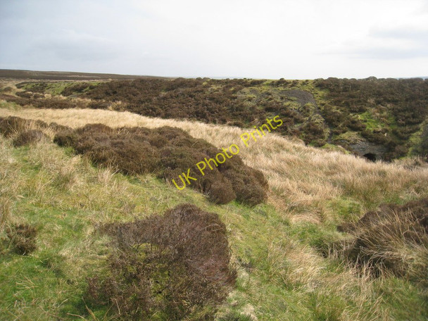 Photo 6"x4" Embankment on the Rosedale Railway Stony Ridge\/NZ6302 c2011