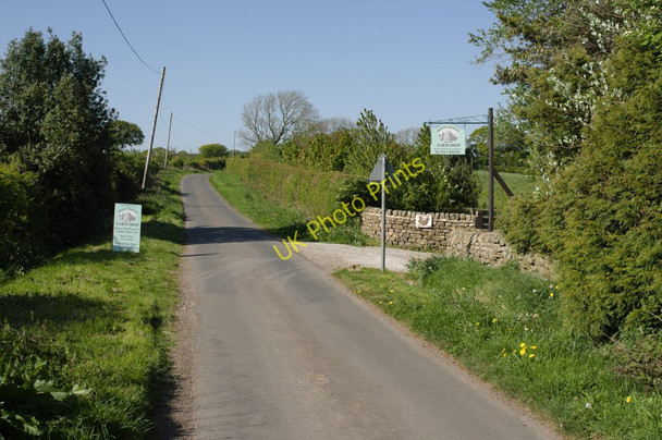Photo 6"x4" The Honey House Farm Shop and Tea Room Braythorn c2011