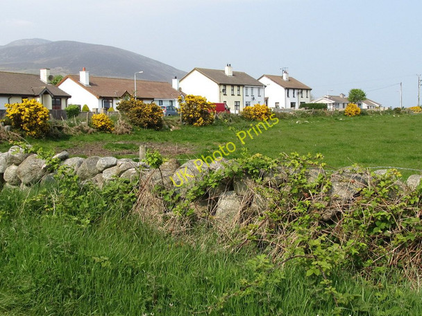 Photo 6"x4" Derryhea Park, Glasdrumman Annalong c2011