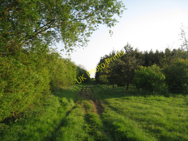 Photo 6"x4" View towards Guilicar Lane Cadney c2011