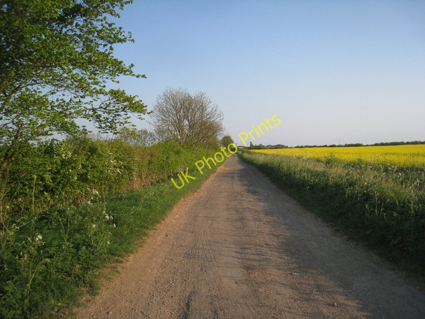 Photo 6"x4" Guilicar Lane North Kelsey c2011