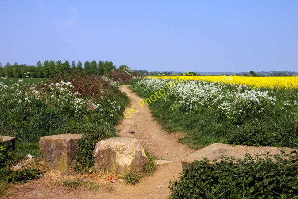 Photo 6"x4" Bridleway to Marsh Baldon Berinsfield c2011
