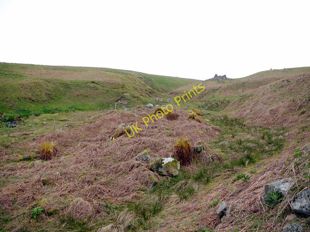 Photo 6"x4" West up the valley of the Spartley Burn towards Tod Stones Alnham c2011