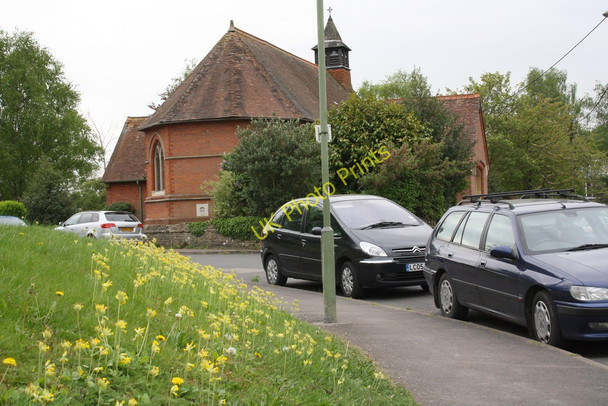 Photo 6"x4" Cowslips on bank beside Charlton Village Road Wantage c2011