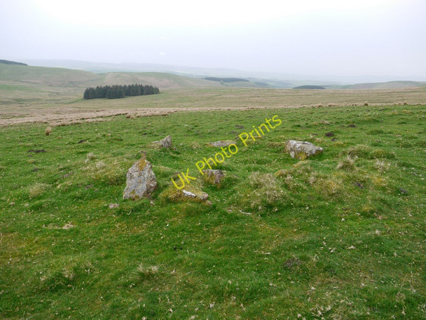 Photo 6"x4" Remains of  circular stone kiln near medieval farmstead Alnham c2011