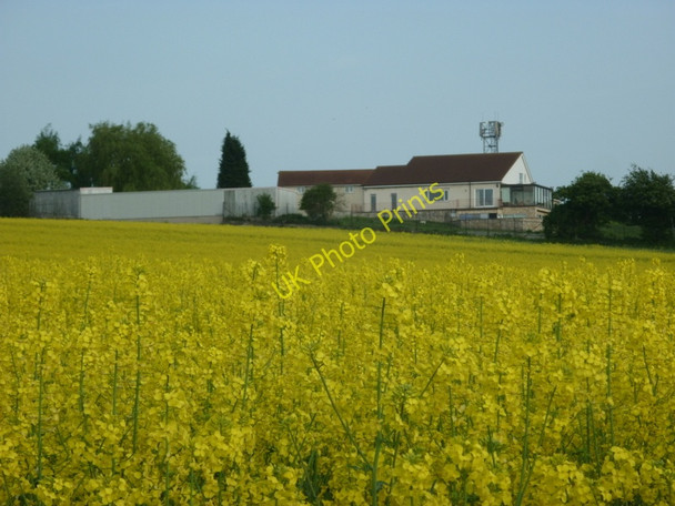 Photo 6"x4" A rape field north of Ferrybridge Services Knottingley c2011