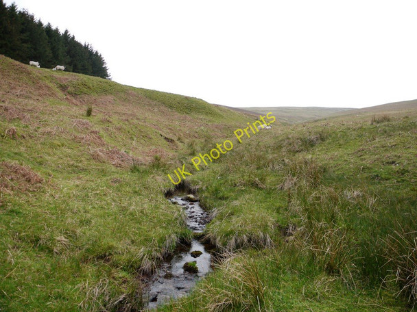 Photo 6"x4" Hazeltonrig Burn Alnham c2011