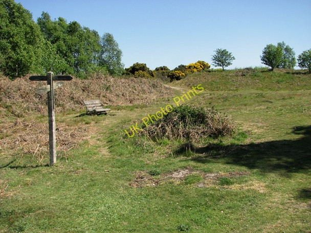 Photo 6"x4" Seat by footpath junction on Walberswick Common Southwold c2011