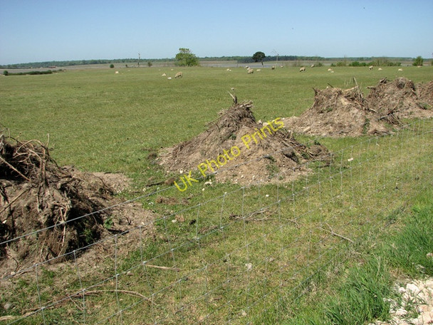 Photo 6"x4" Sheep pasture above the Blyth estuary Blythburgh c2011