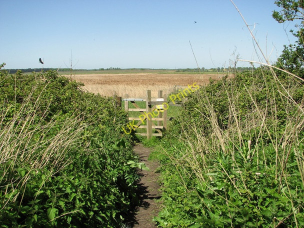 Photo 6"x4" Gate on footpath north of Tinker's House Blythburgh c2011