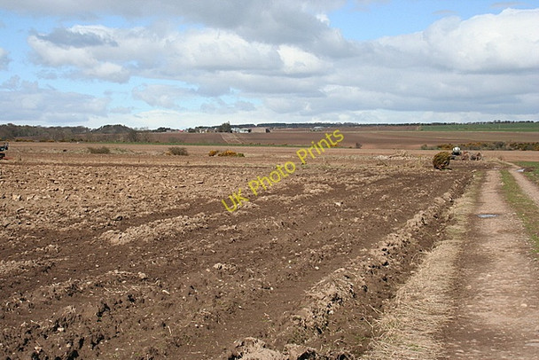 Photo 6"x4" Looking towards Denhead of Arbirlot from Kellyfield Craigend\/NO5839 c2008