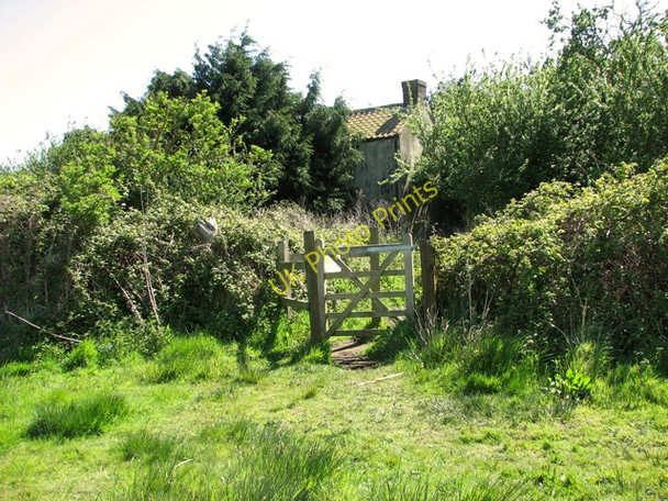 Photo 6"x4" Derelict house in Tinker's Marshes Blythburgh c2011