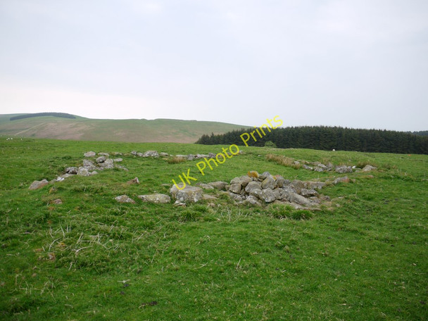 Photo 6"x4" Remains of sheepfold west of Hazeltonrig Alnham c2011