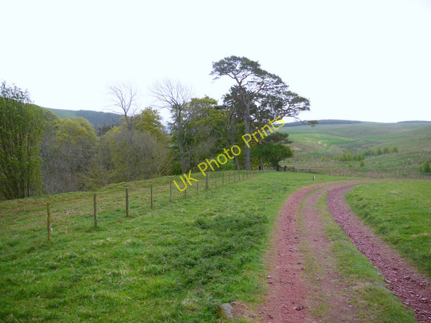 Photo 6"x4" Track above Hazeltonrig Alnham c2011