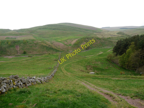 Photo 6"x4" Valley of Spartley Burn, Hazeltonrig Alnham c2011