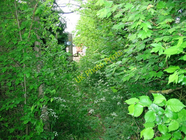 Photo 6"x4" Overgrown Footpath, Whaddon Whaddon\/TL3546 c2011