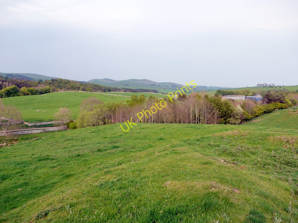 Photo 6"x4" Field east of Alnham Castle Alnham c2011