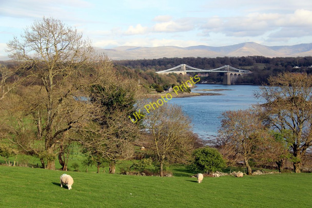Photo 6"x4" Farmland, Anglesey Llanfair Pwllgwyngyll c2011