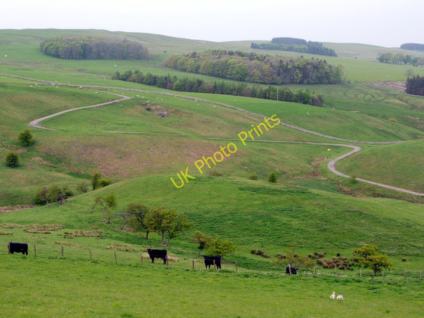 Photo 6"x4" Road to Ewartly Shank west of Alnham Church Alnham c2011