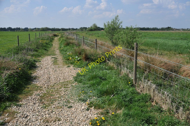 Photo 6"x4" The Thames Path Derry Fields c2011