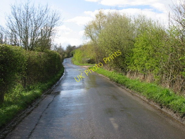 Photo 6"x4" Looking W along Denstroude Lane Denstroude c2008