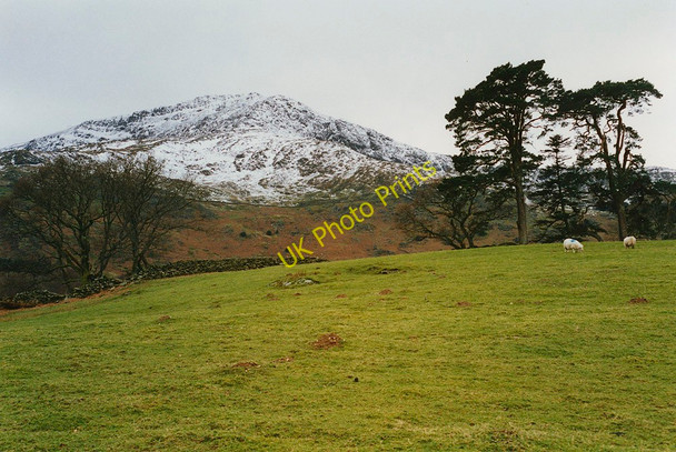 Photo 6"x4" Field west of Beddgelert Beddgelert c1995