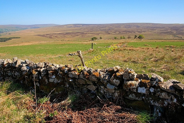 Photo 6"x4" North Pennine Moors Leadgate\/NY7043 c2011