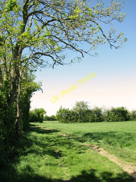 Photo 6"x4" Approaching the A140 road from Boudica's Way Foxhole\/TM2197 c2011