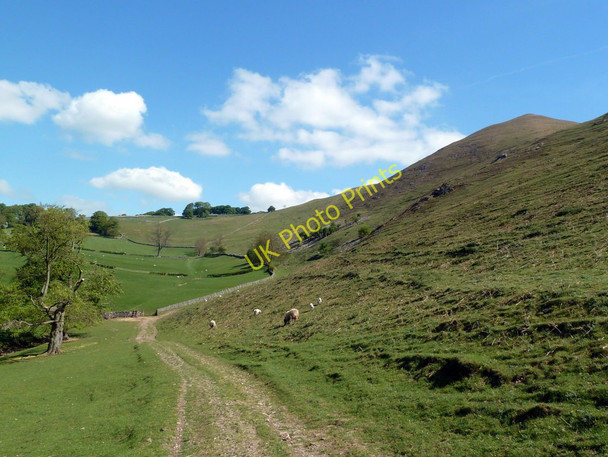 Photo 6"x4" Path under Bunster Hill Ilam c2011
