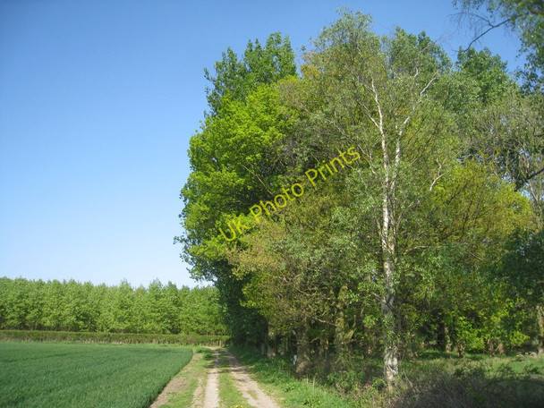 Photo 6"x4" The bridleway to Somerby Howsham\/TA0404 c2011