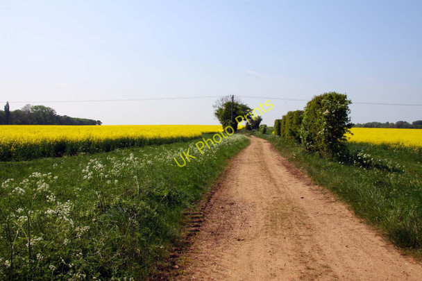 Photo 6"x4" Footpath from Drayton St Leonard Berinsfield c2011