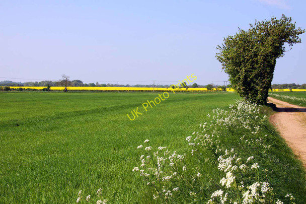 Photo 6"x4" Field by the path Chislehampton c2011