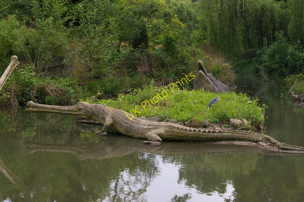 Photo 6"x4" Crystal Palace Park: the dinosaur sculptures, and an unconcerned heron Penge c2011