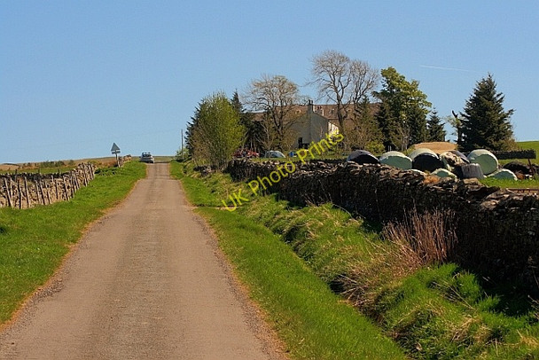 Photo 6"x4" High Plains Leadgate\/NY7043 c2011