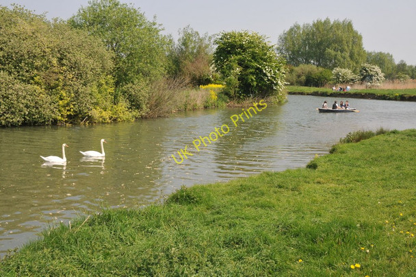 Photo 6"x4" Swans and boaters at Lechlade Lechlade on Thames c2011
