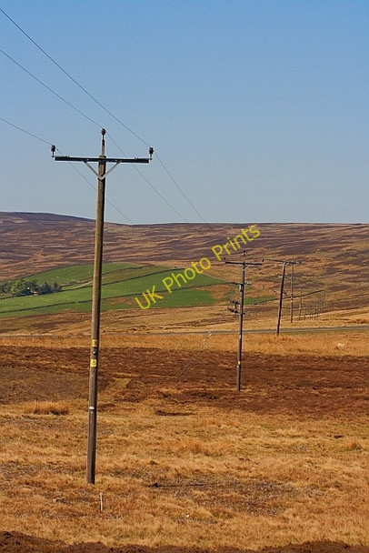 Photo 6"x4" Electricity Transmission Poles Crawleyside c2011