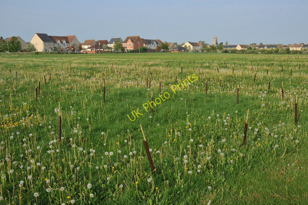 Photo 6"x4" Meadow at Cricklade Cricklade c2011