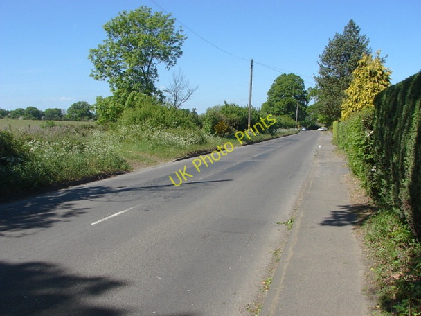 Photo 6"x4" Frog Grove Lane, Woodstreet Willey Green c2011