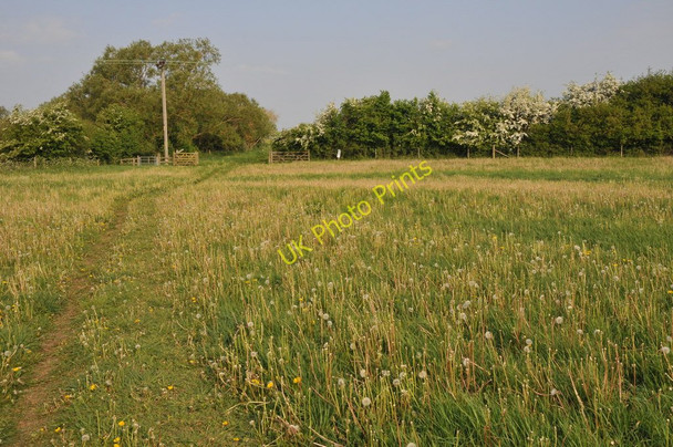 Photo 6"x4" Thames Path east of Cricklade Calcutt\/SU1193 c2011