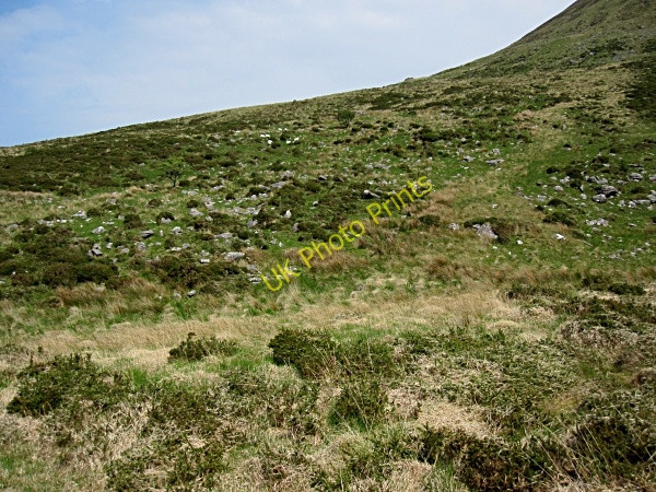 Photo 6"x4" Hill Slope Cloghane c2011