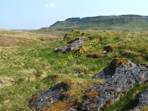 Photo 6"x4" A line of limestone outcrops Bellsmyre c2011