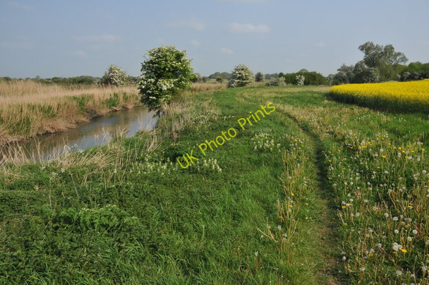 Photo 6"x4" Thames Path near Castle Eaton Castle Eaton c2011