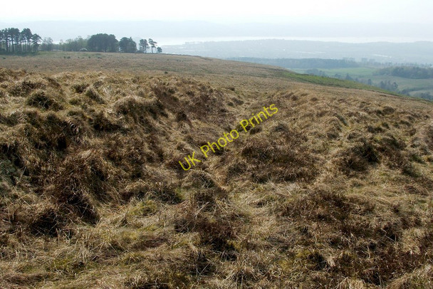 Photo 6"x4" Ancient trackway Bellsmyre c2011