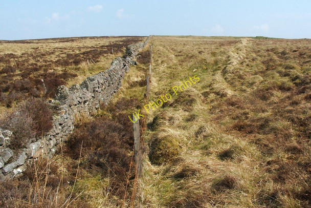 Photo 6"x4" Dry-stone wall and older field boundary Bellsmyre c2011