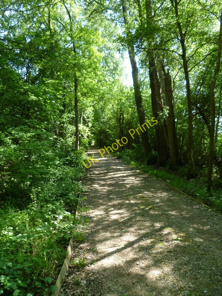 Photo 6"x4" Track in Petsalls Copse Strood Green\/TQ0224 c2011