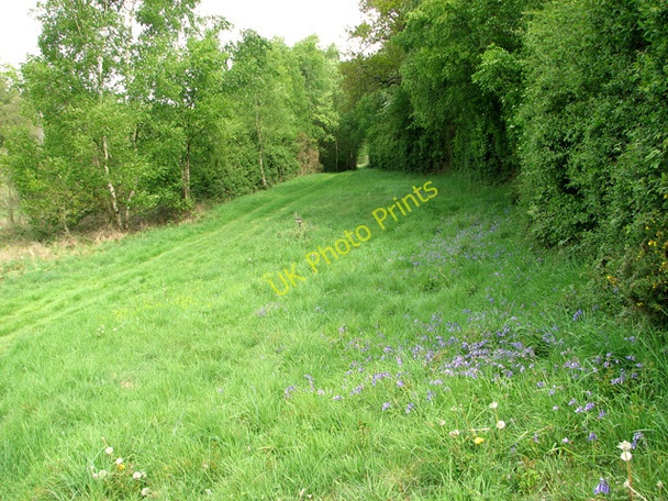 Photo 6"x4" Private farm track alongside the River Glaven Holt\/TG0838 c2011
